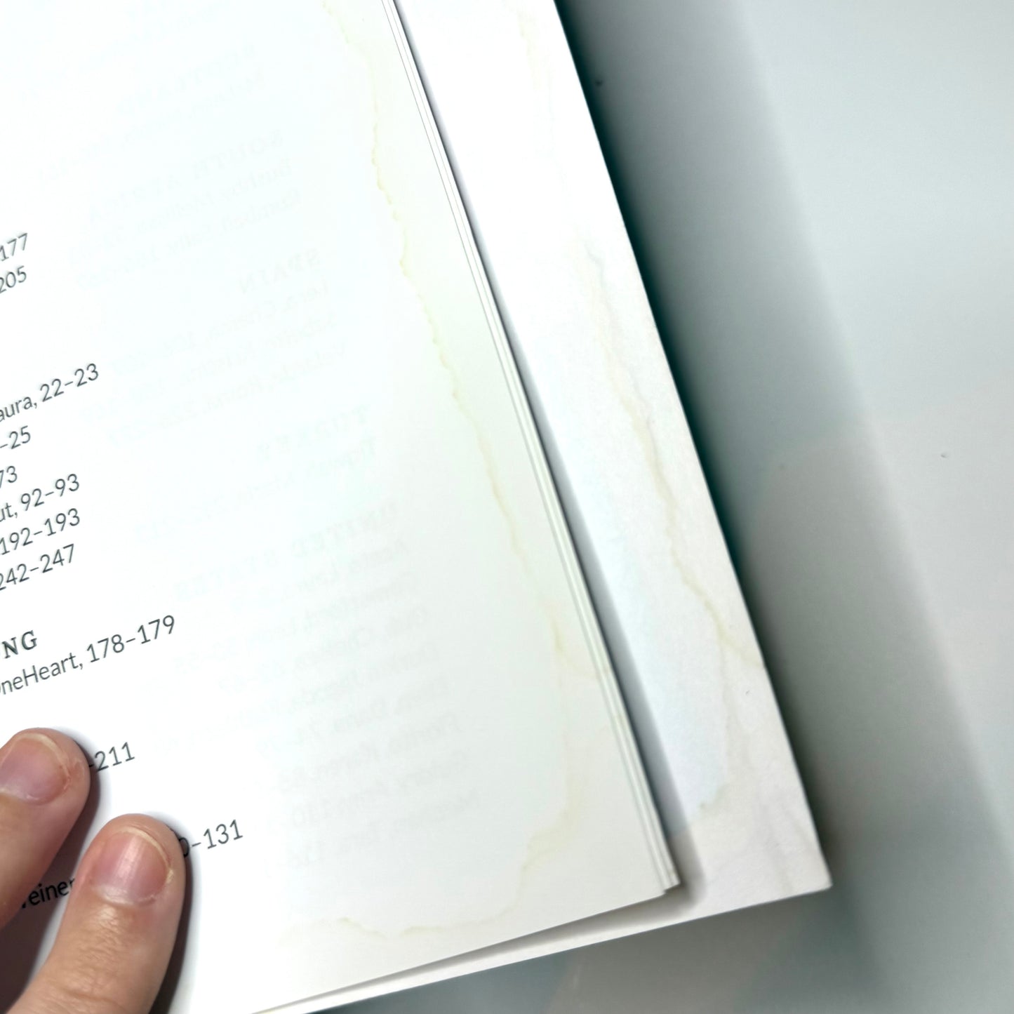 The Art Of Compassion - Creative Activism for Animals