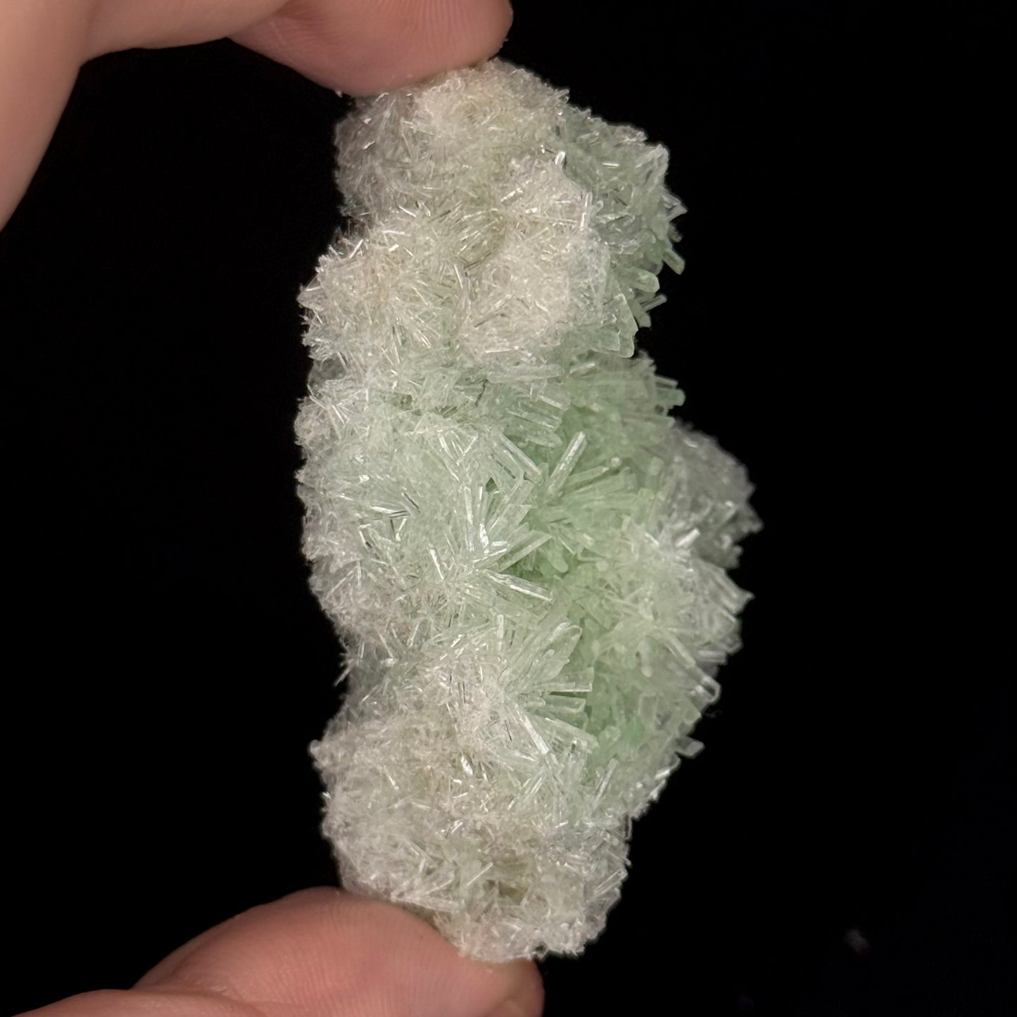 Green Gypsum