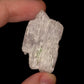 Kunzite with green tourmaline