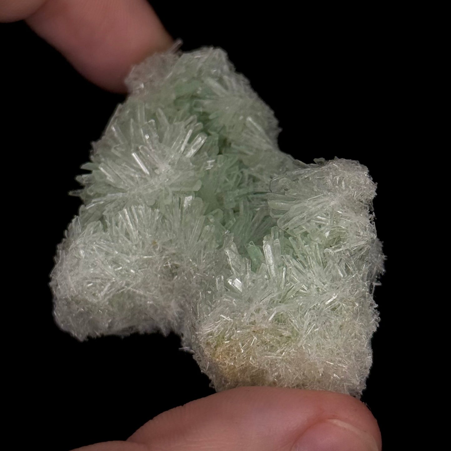 Green Gypsum