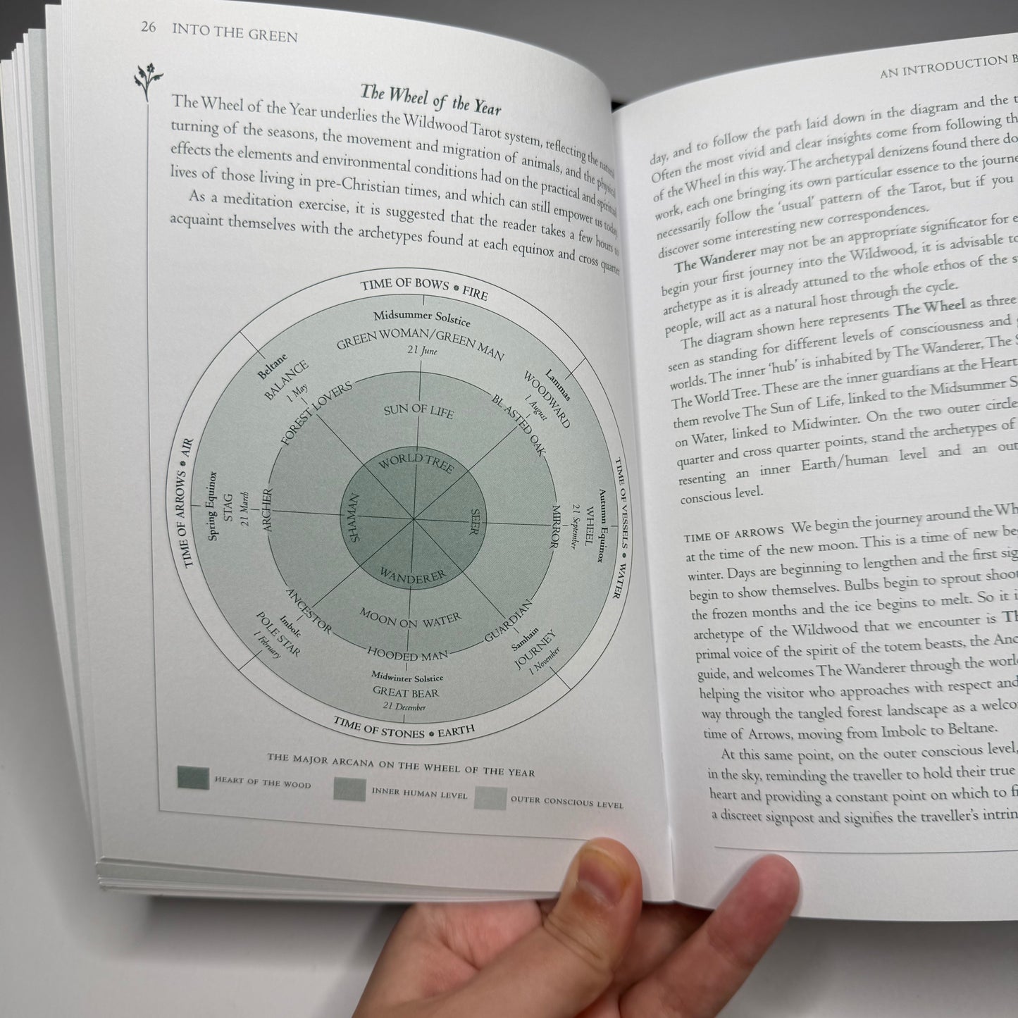 The Wild Wood Tarot Deck