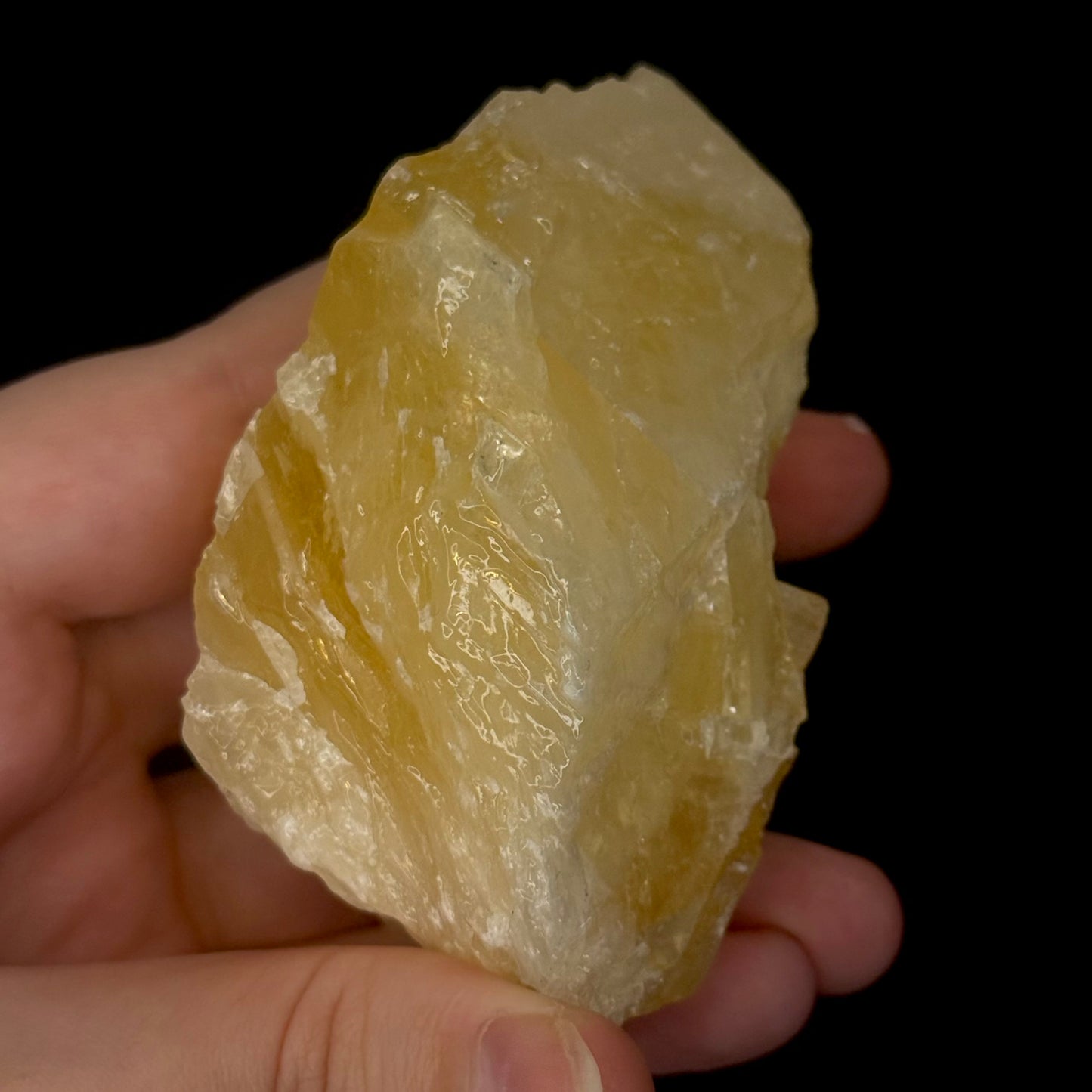 Angel Wing Calcite