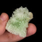 Green Gypsum