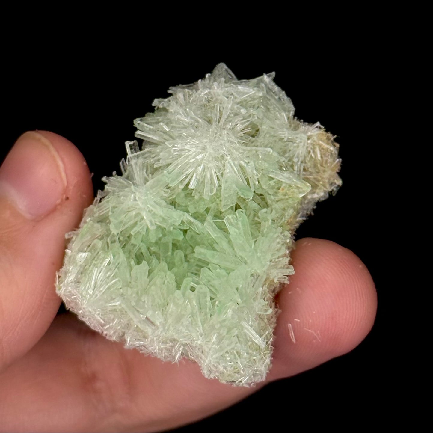 Green Gypsum