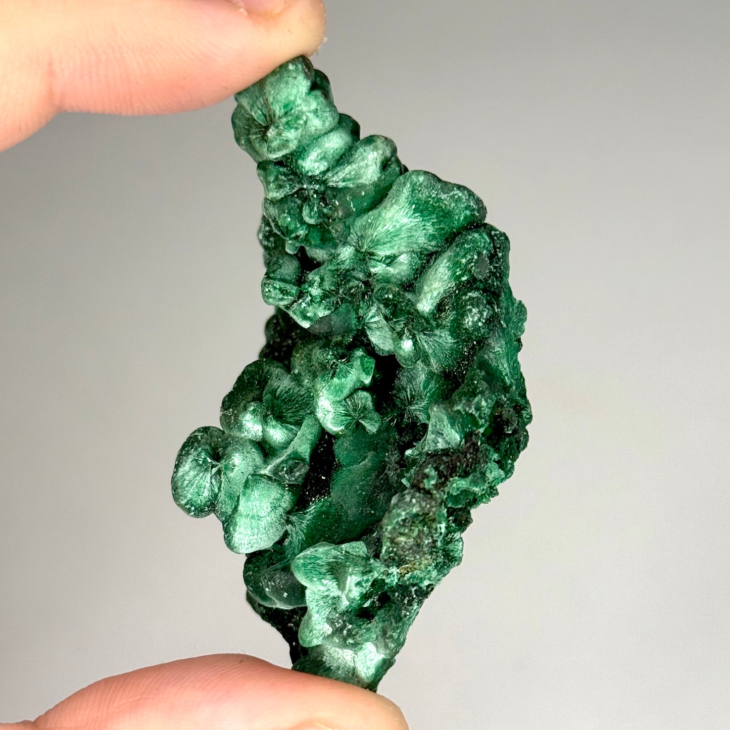 Silky Malachite