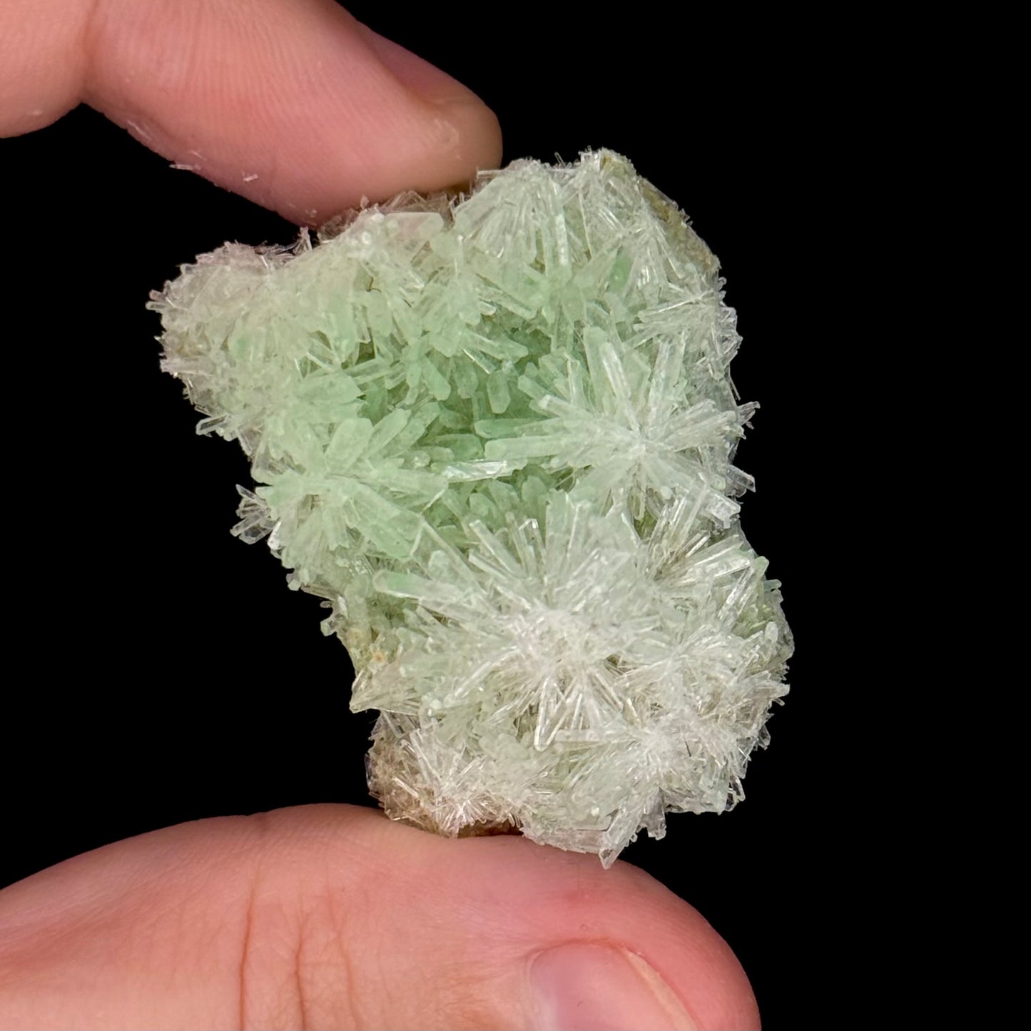 Green Gypsum