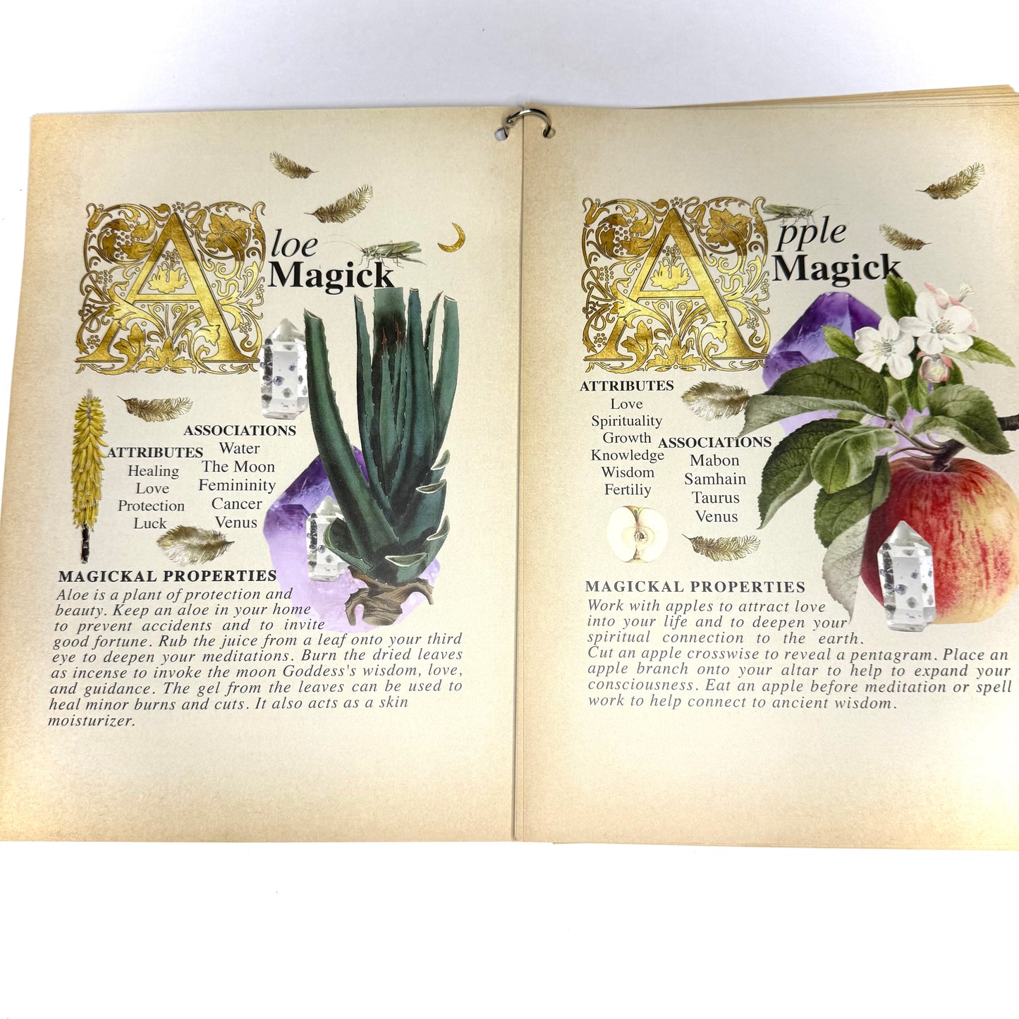 Secret Grimoire of Plant and Crystal Magick - Original Edition