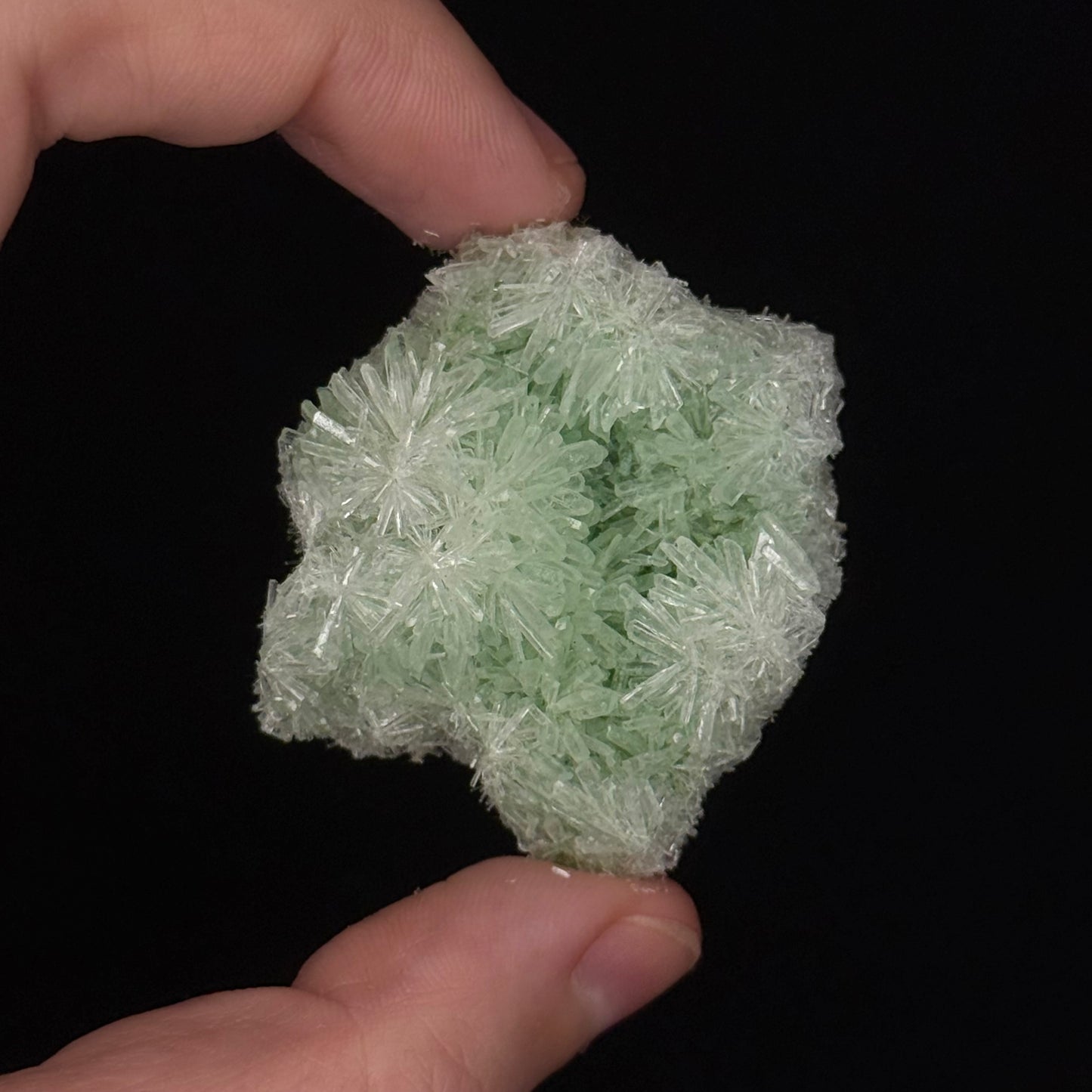 Green Gypsum