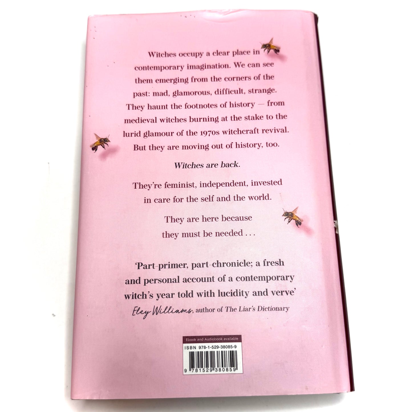 A Spell In The Wild Book