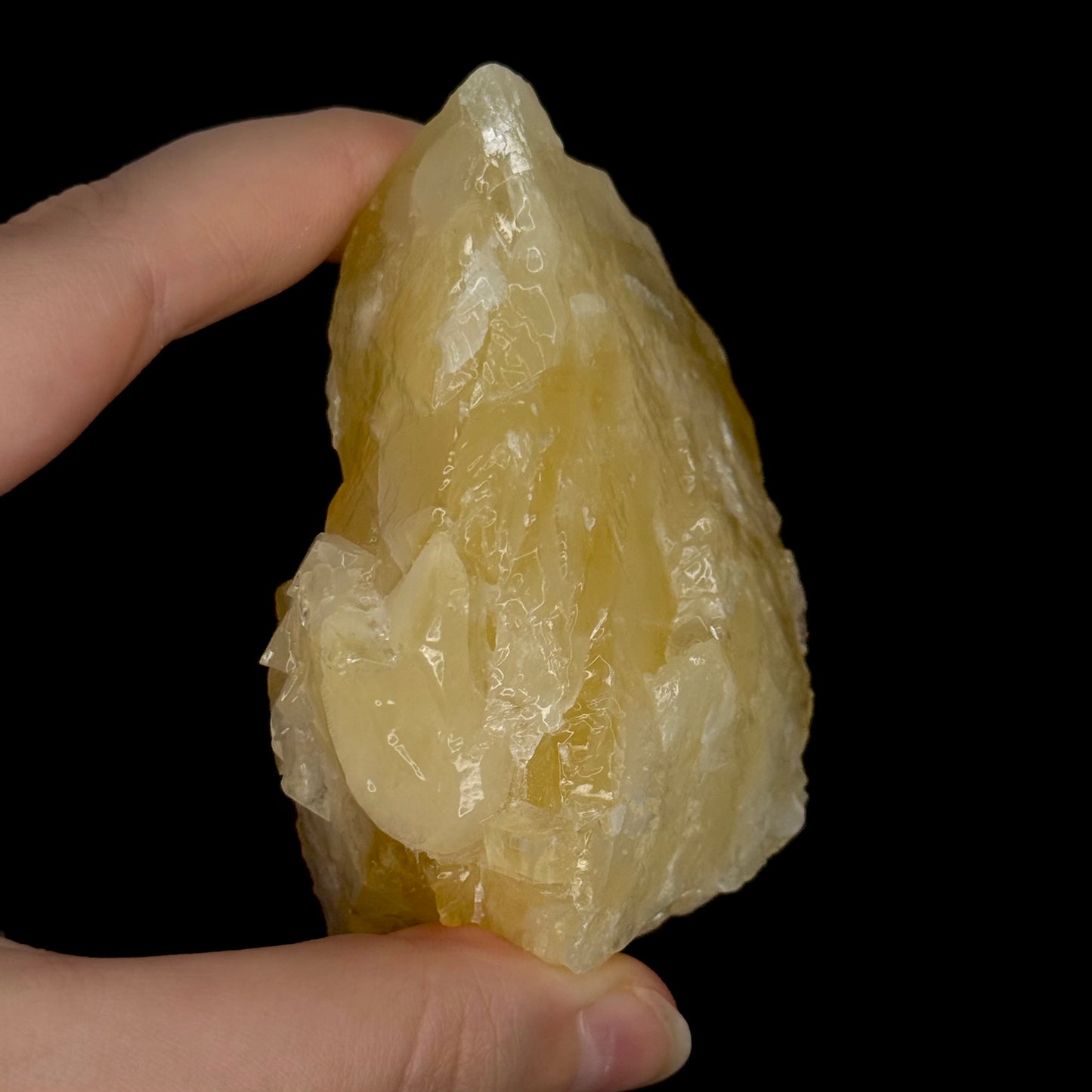 Angel Wing Calcite