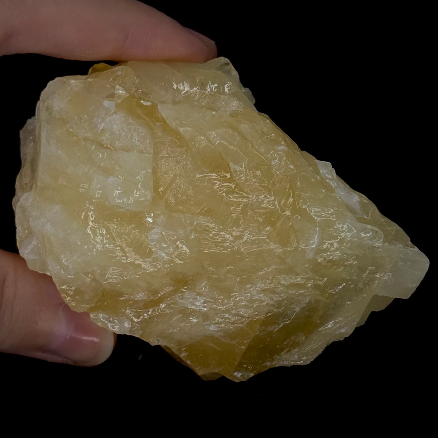 Angel Wing Calcite