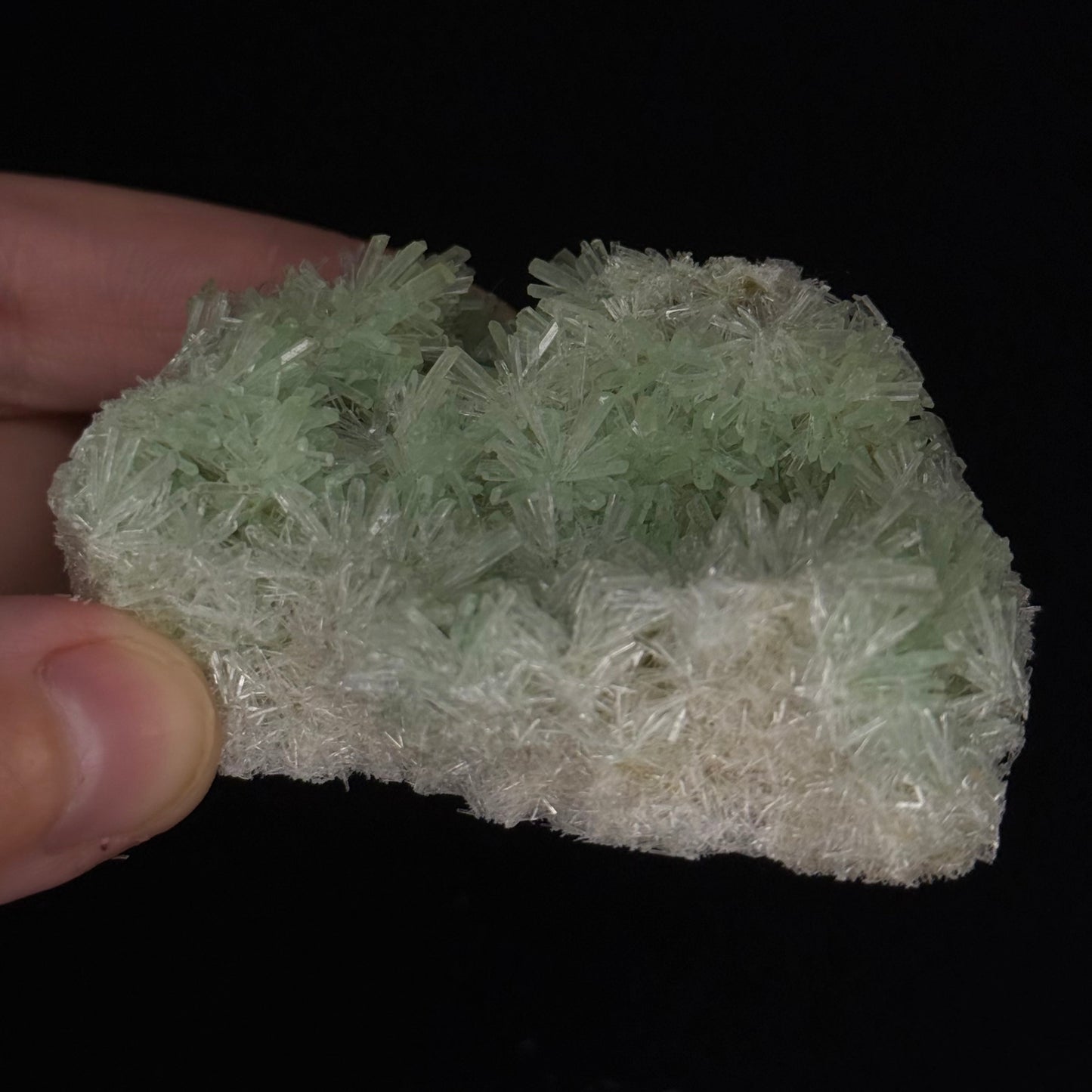 Green Gypsum