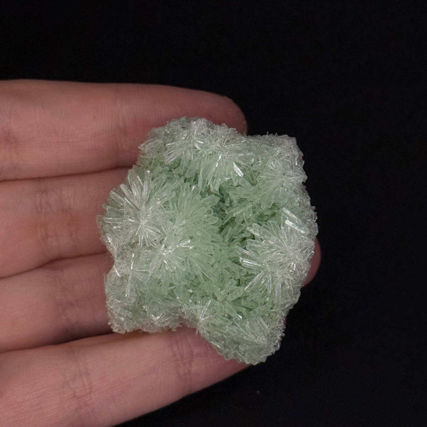 Green Gypsum
