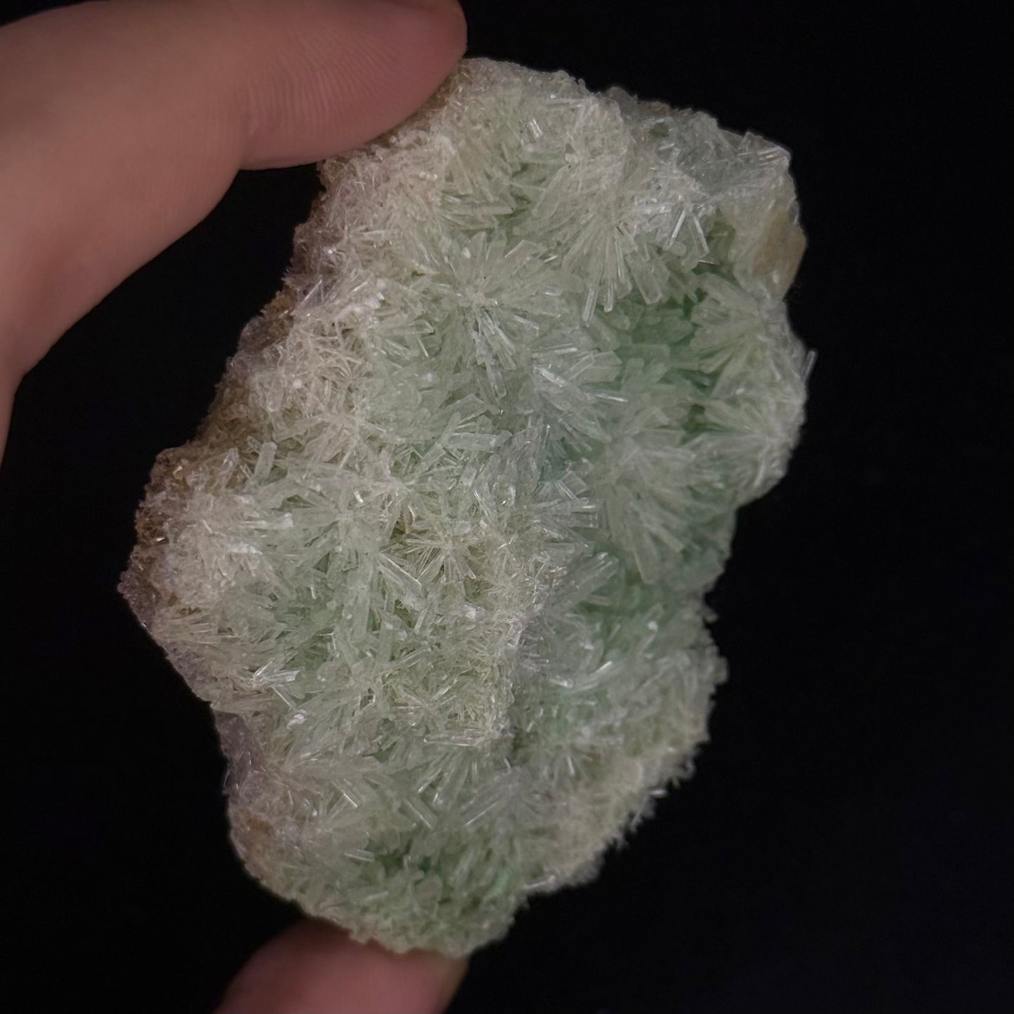Green Gypsum