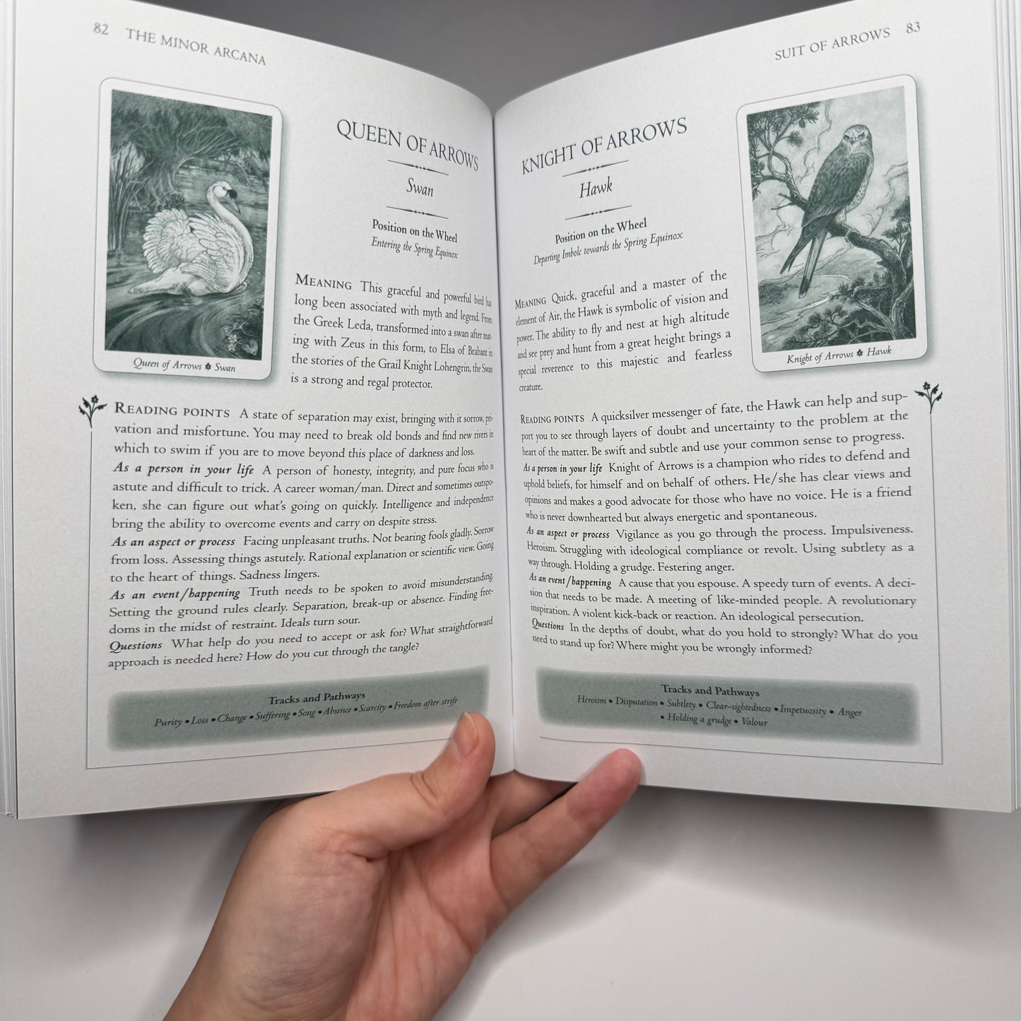 The Wild Wood Tarot Deck