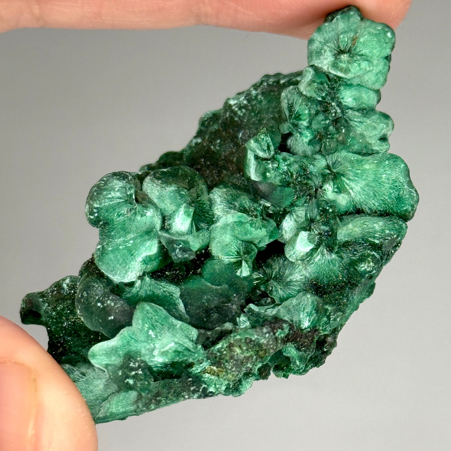 Silky Malachite