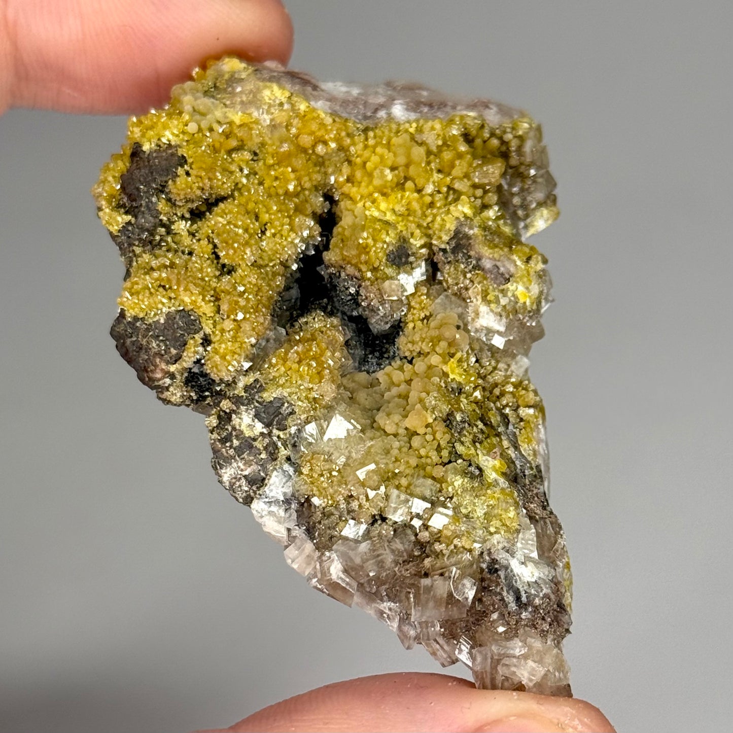 Mimetite
