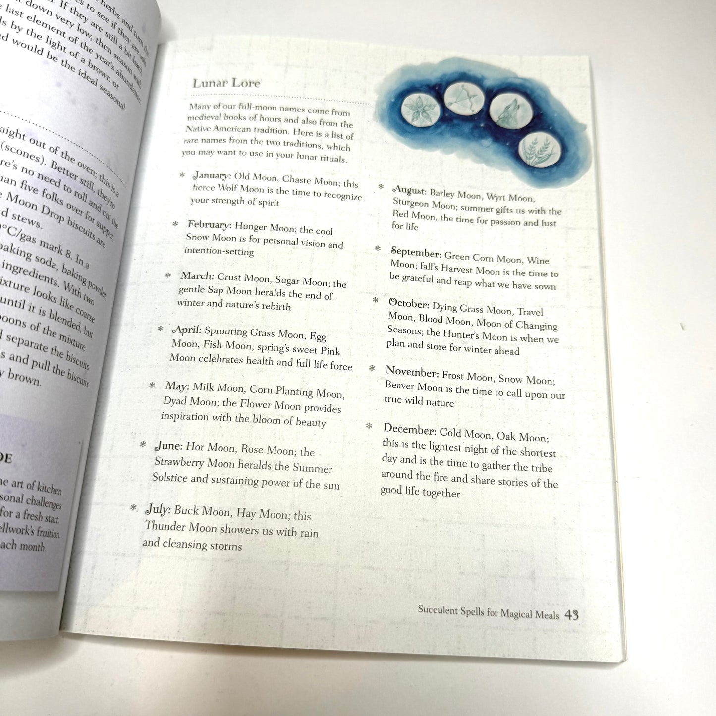 The Book of Kitchen Witchery