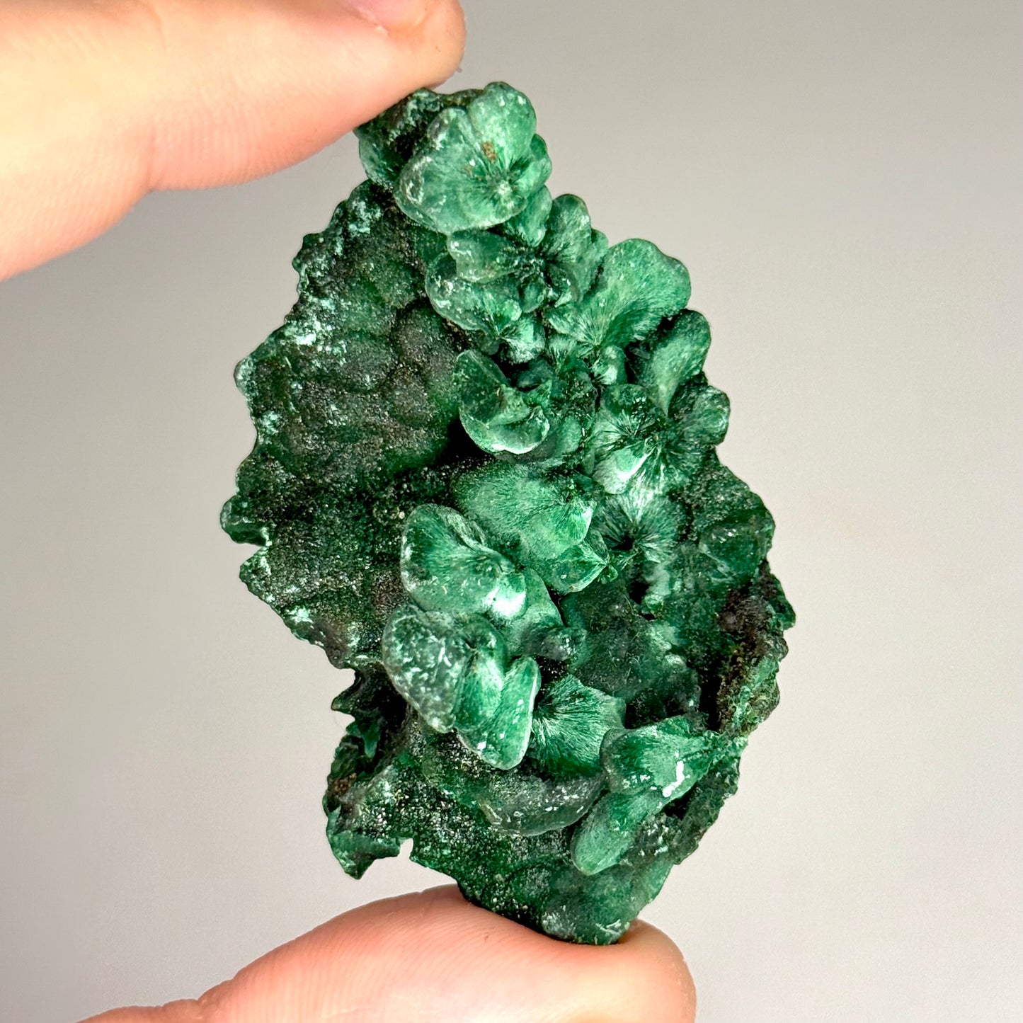 Silky Malachite