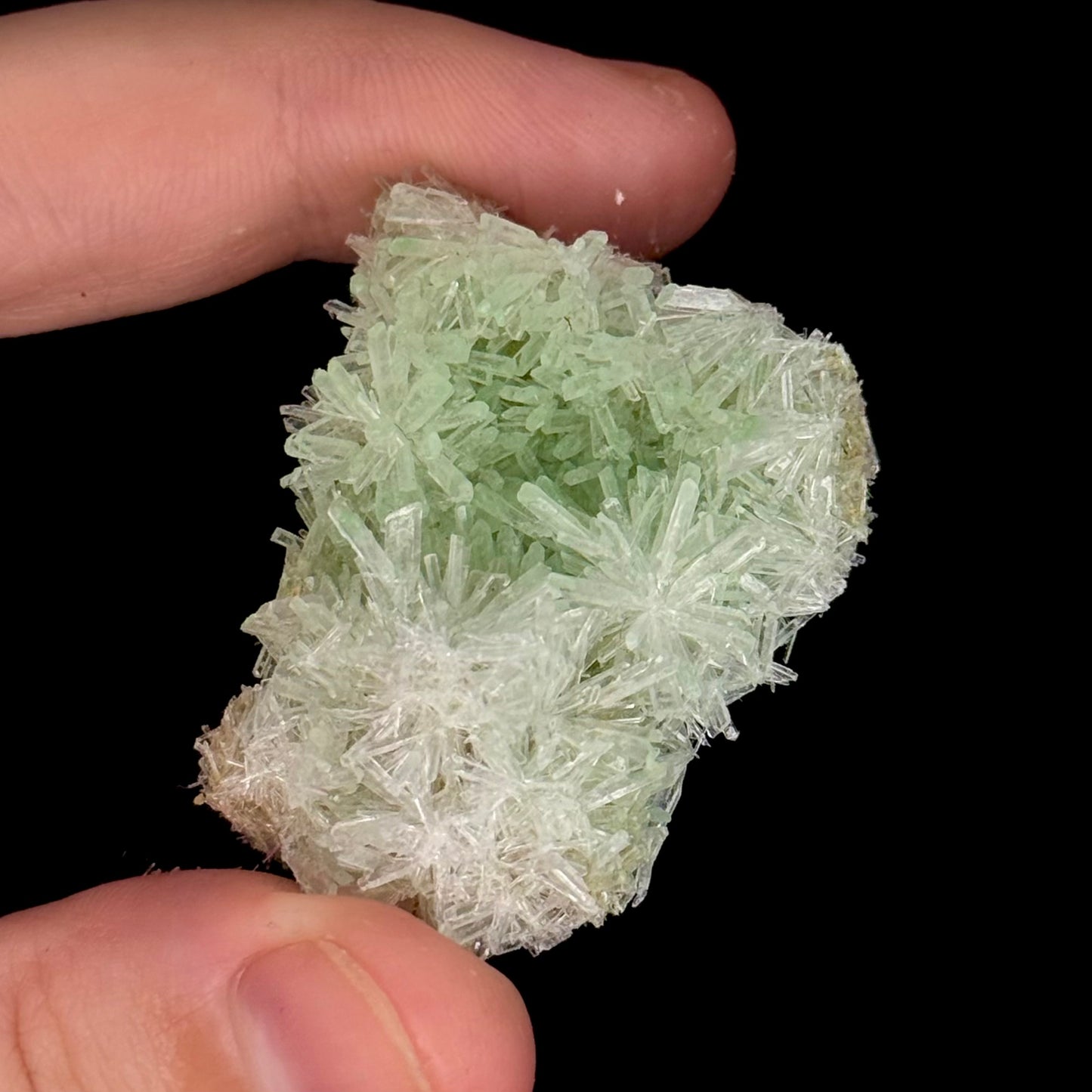 Green Gypsum