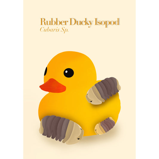 Rubber Ducky Isopods Art Print