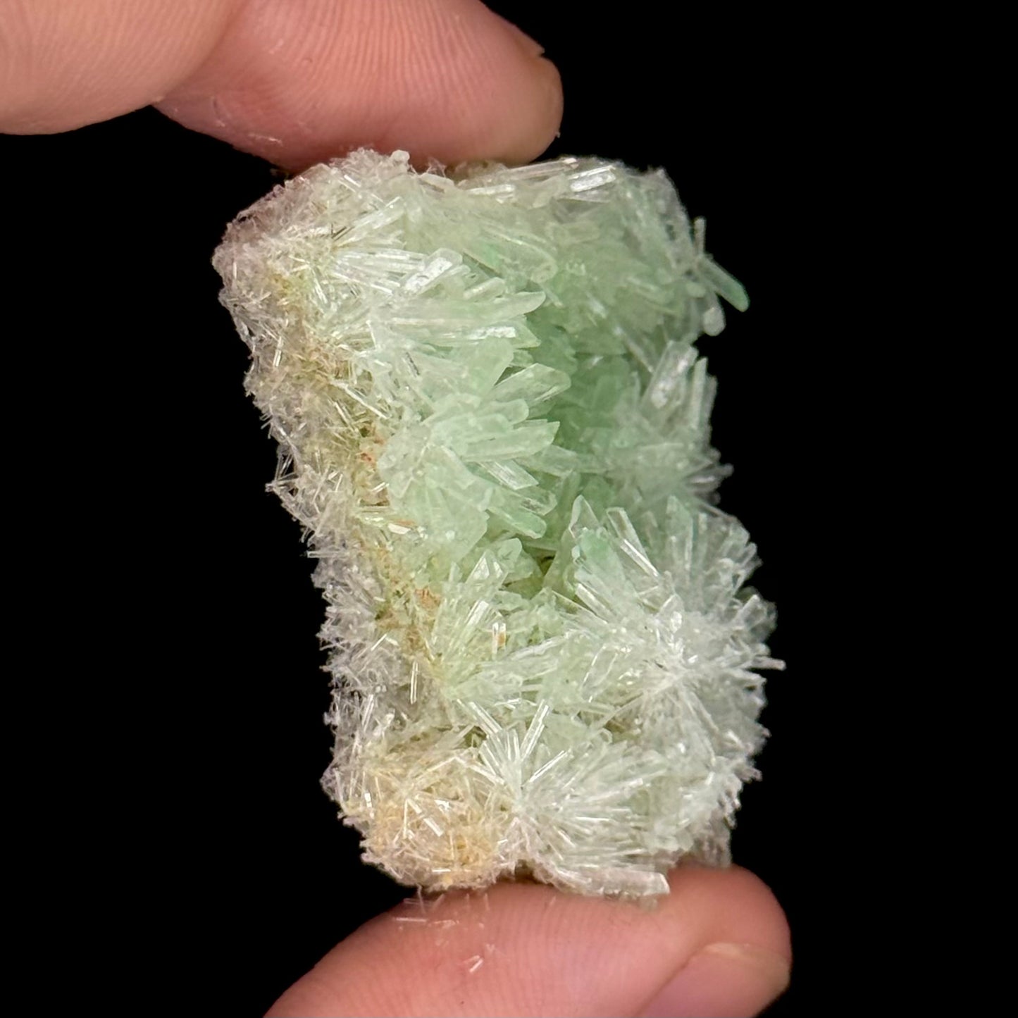 Green Gypsum