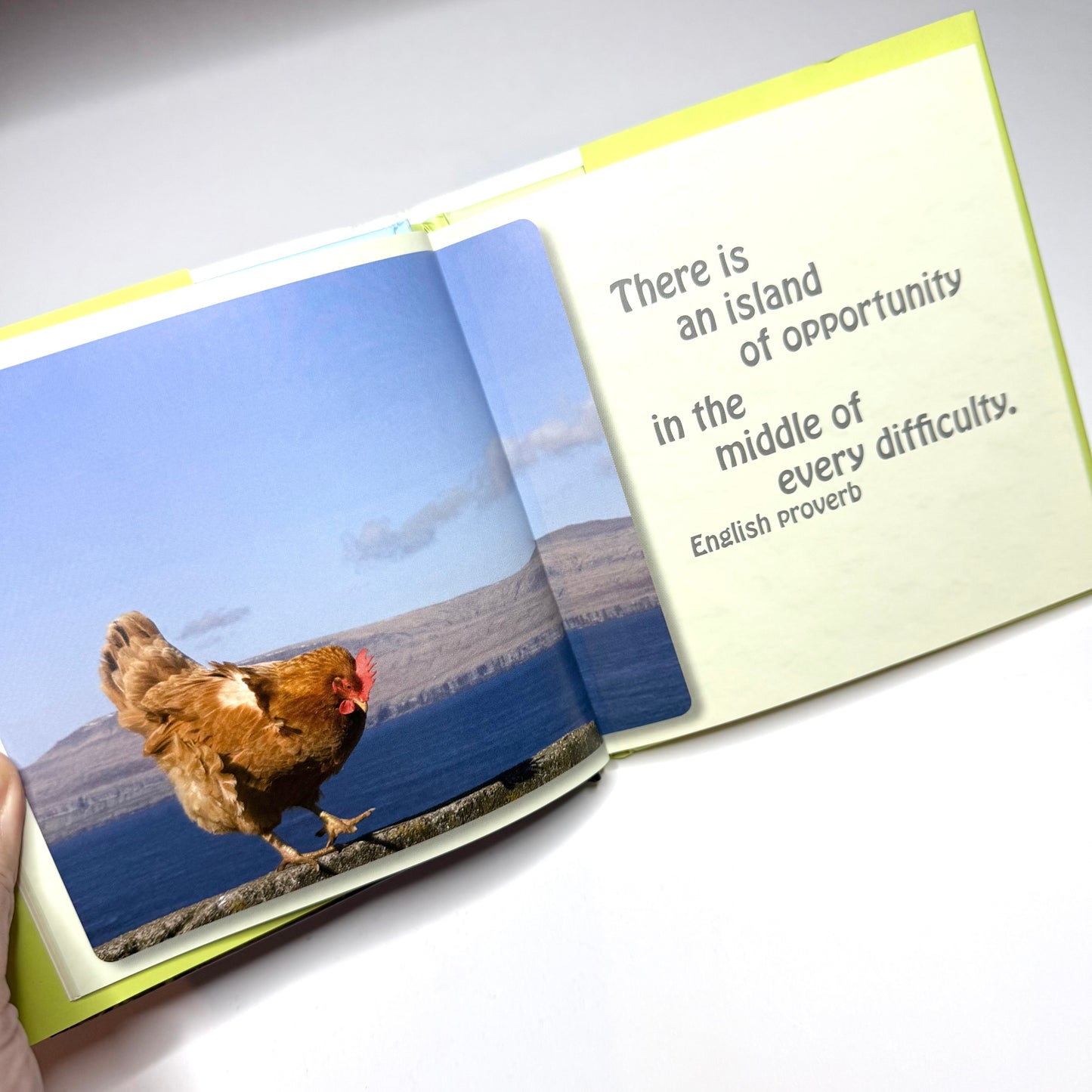 The Best Things In Life Are Free Book