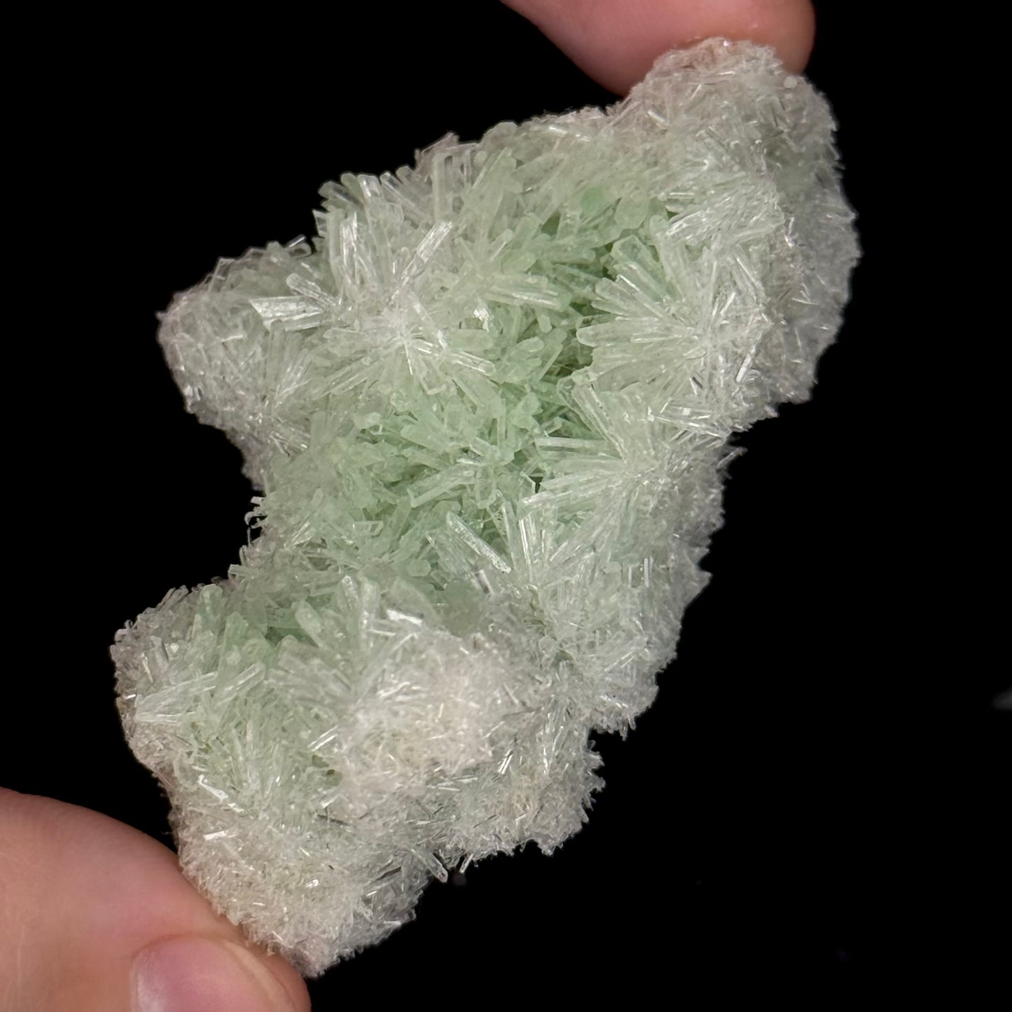 Green Gypsum