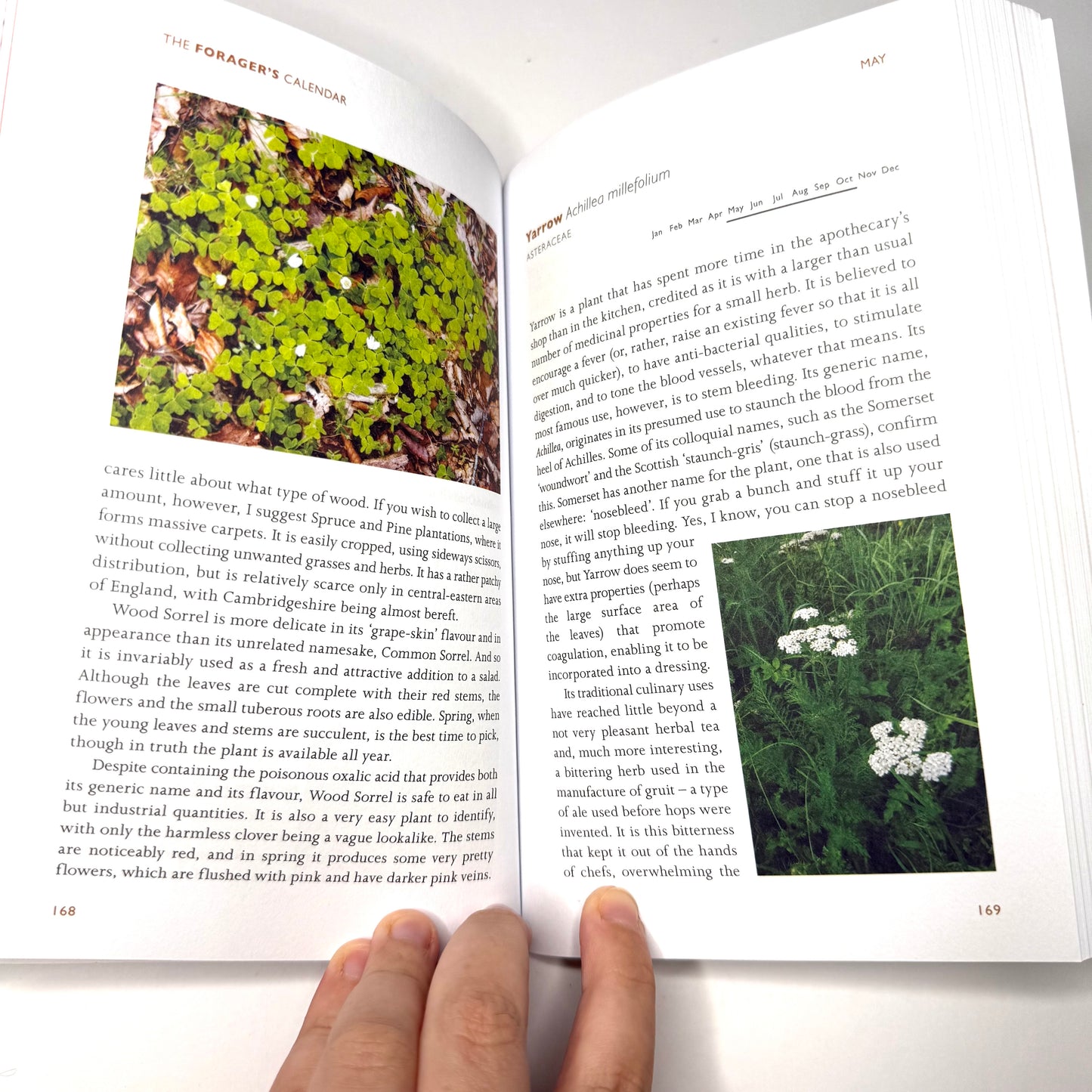 The Forager’s Calendar - A seasonal guide to natures wild harvests