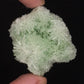 Green Gypsum