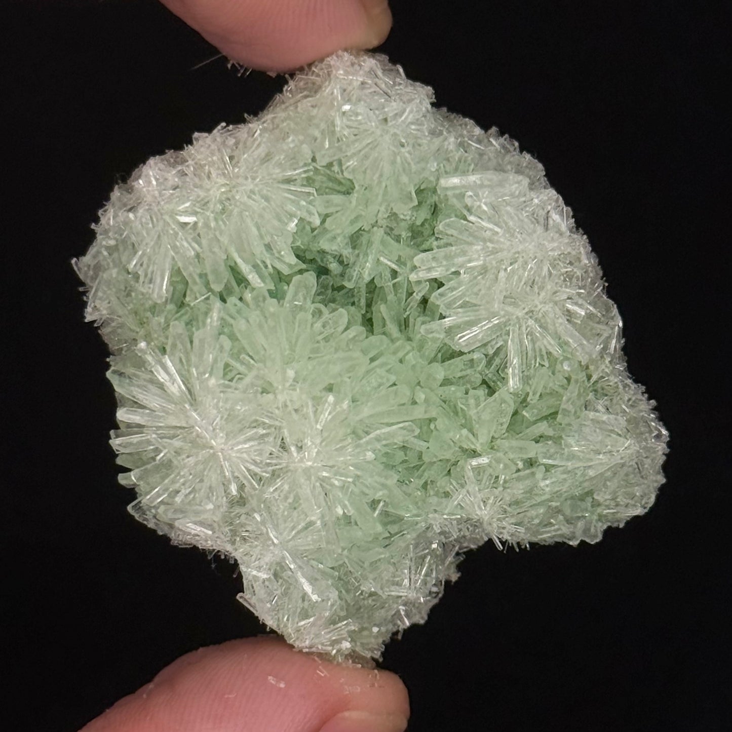 Green Gypsum