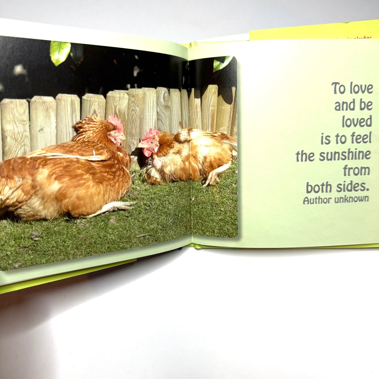 The Best Things In Life Are Free Book