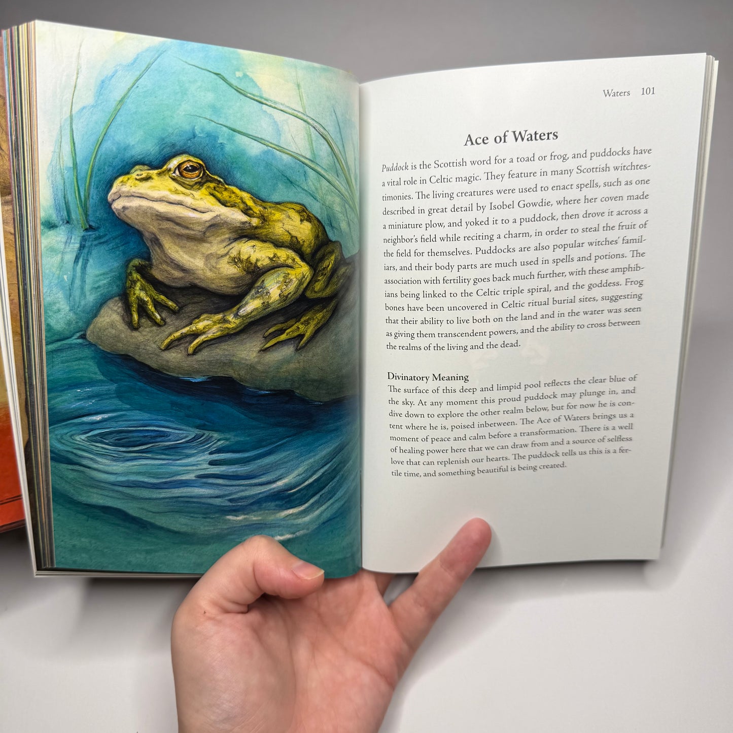 Witch Sisters Tarot Deck