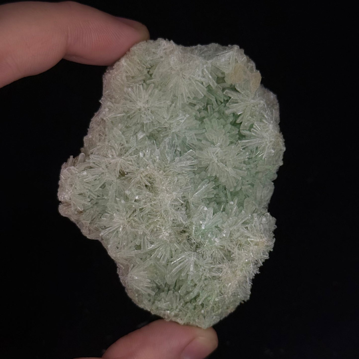 Green Gypsum