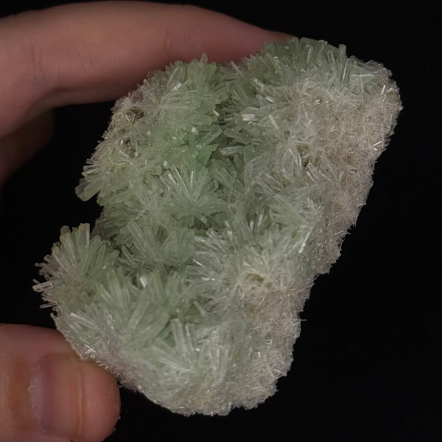 Green Gypsum