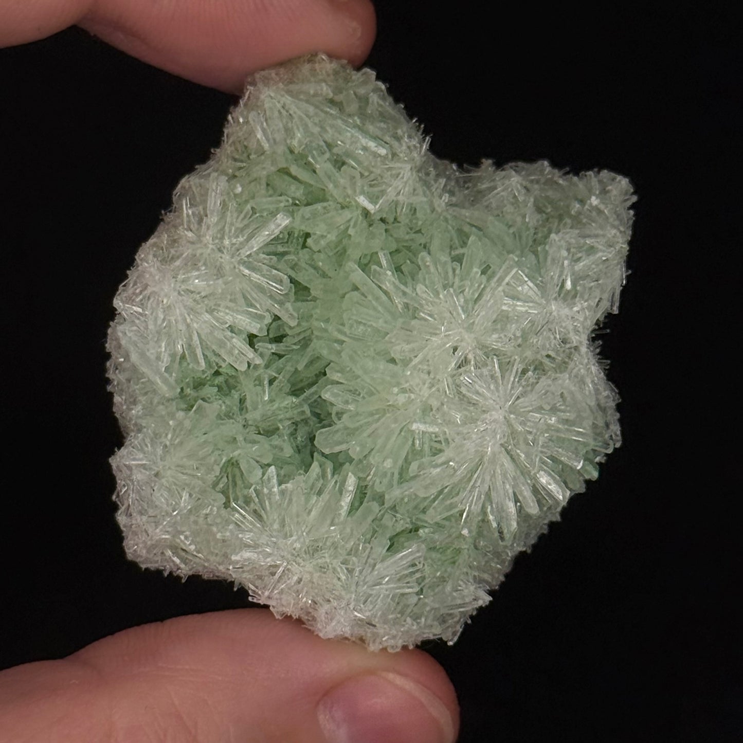 Green Gypsum