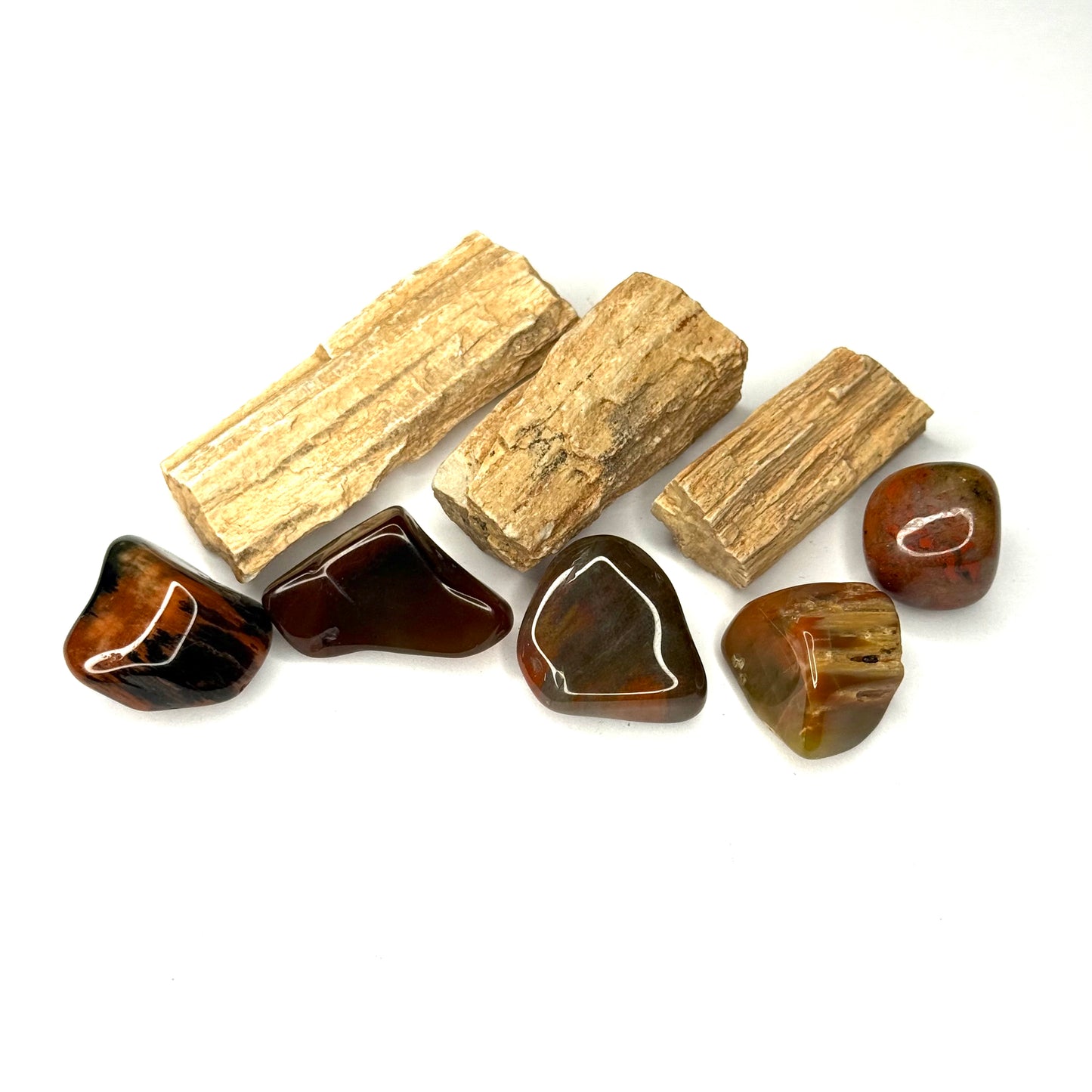 Petrified Wood Tumblestone