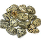 Dalmatian Jasper Tumblestone