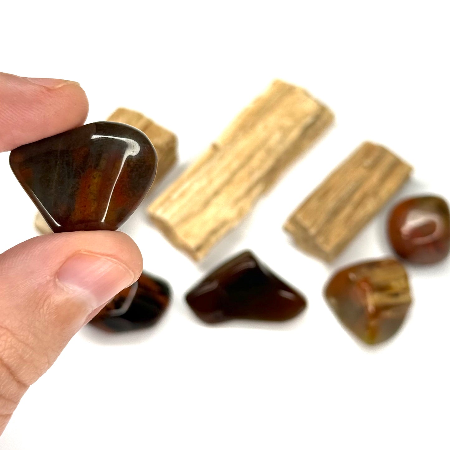 Petrified Wood Tumblestone