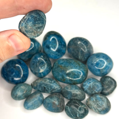 Blue Apatite Tumblestone