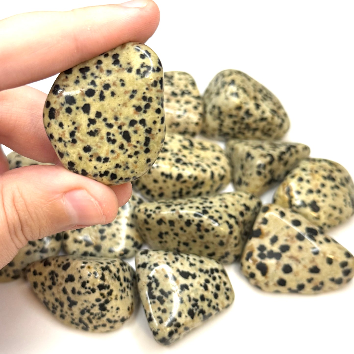 Dalmatian Jasper Tumblestone