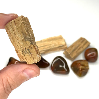 Petrified Wood Tumblestone