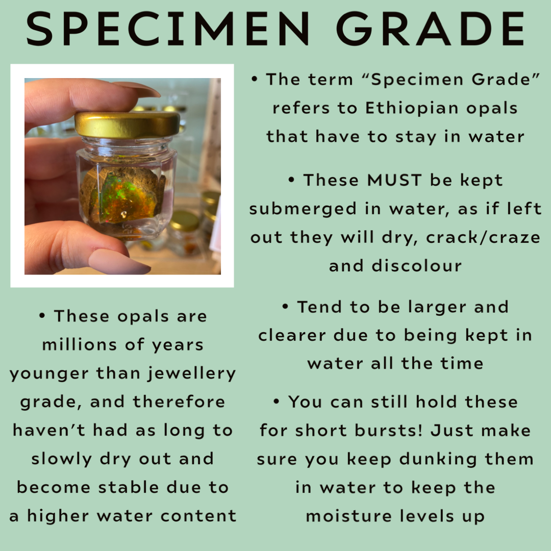 Ethiopian Opal - Specimen Opal