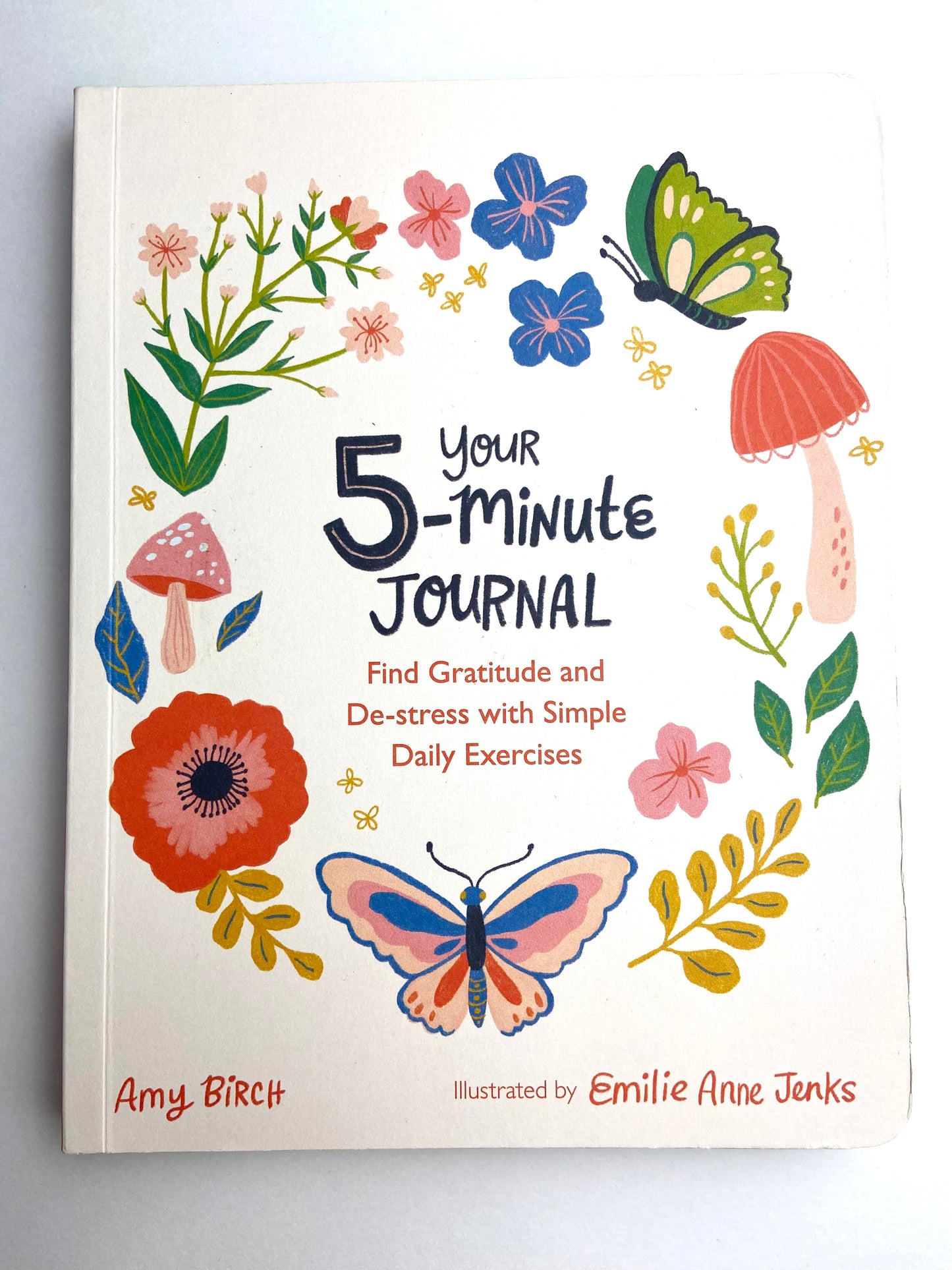Your 5 Minute Journal Book