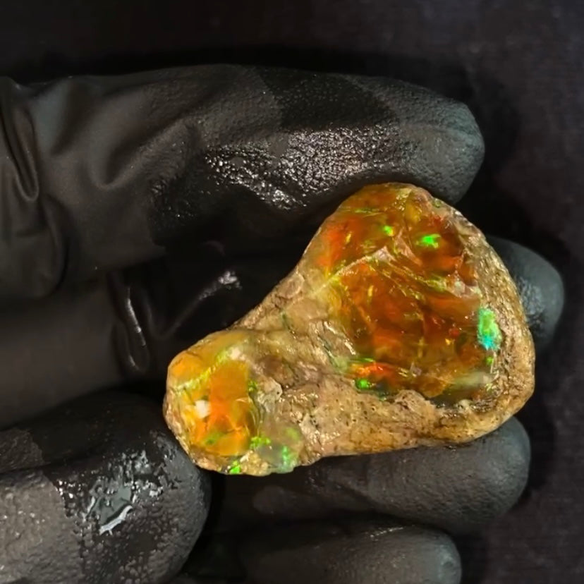 Ethiopian Opal - Specimen Grade