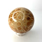 Fossil Coral Sphere