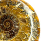 Whole Ammonite