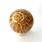 Fossil Coral Sphere